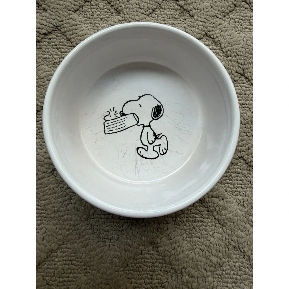 N/A snoopy ceramic nostalgia